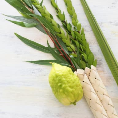 category of - חגים וזמנים