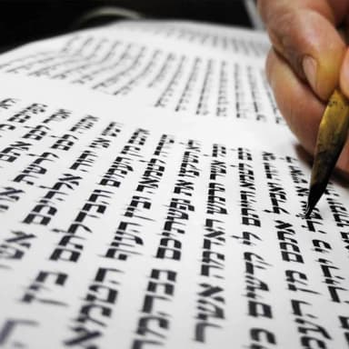 category of - הלכה