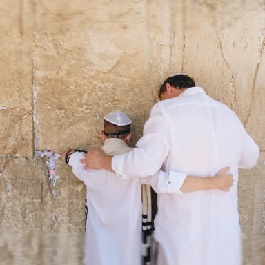 category of - הבית היהודי